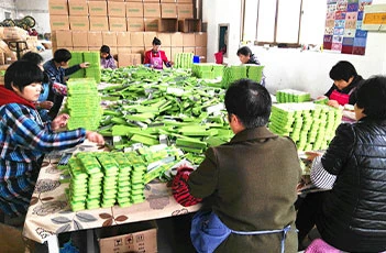 page-566-374